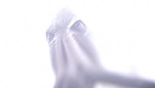 Illustration for article titled You won't believe who the new American Horror Story monsters are!